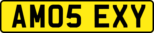 AM05EXY