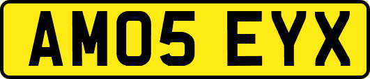 AM05EYX