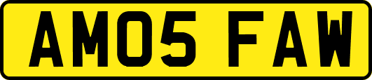 AM05FAW