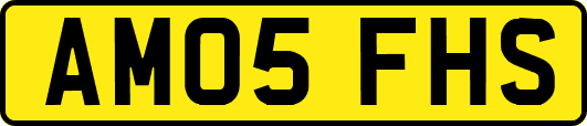 AM05FHS