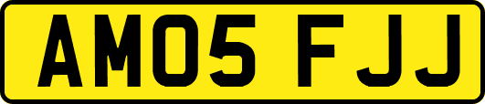 AM05FJJ