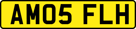 AM05FLH