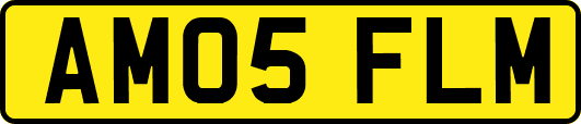 AM05FLM