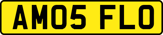 AM05FLO