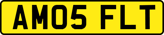 AM05FLT