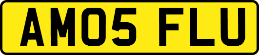 AM05FLU