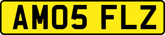 AM05FLZ