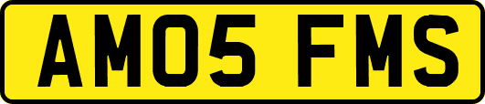 AM05FMS