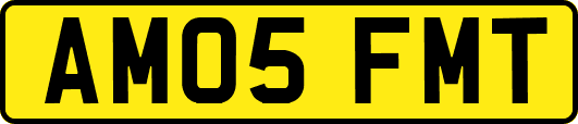 AM05FMT