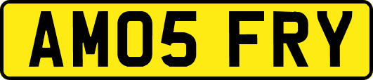 AM05FRY
