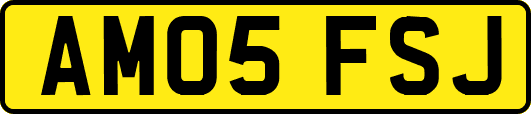 AM05FSJ