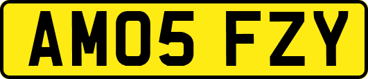AM05FZY