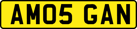 AM05GAN
