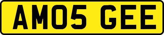 AM05GEE