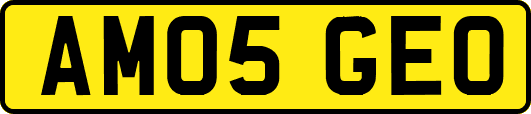 AM05GEO