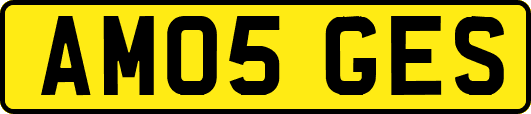 AM05GES
