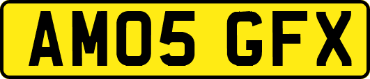 AM05GFX