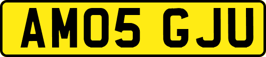 AM05GJU