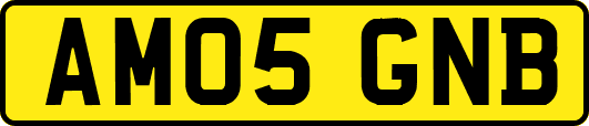 AM05GNB