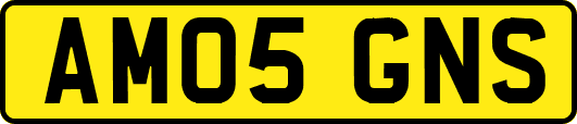 AM05GNS