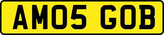 AM05GOB