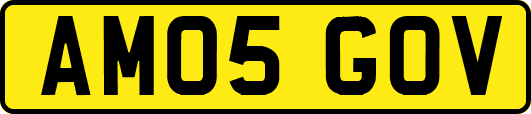 AM05GOV