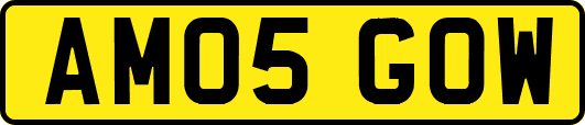 AM05GOW