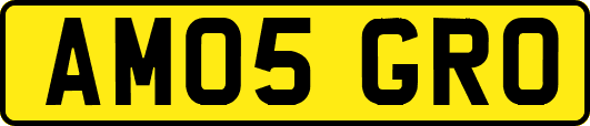 AM05GRO