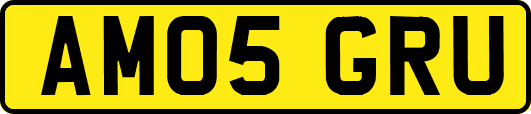AM05GRU