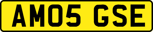 AM05GSE