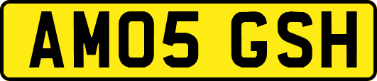 AM05GSH