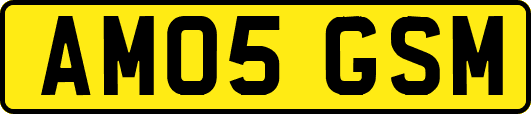AM05GSM