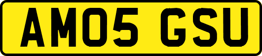AM05GSU