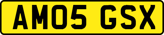 AM05GSX