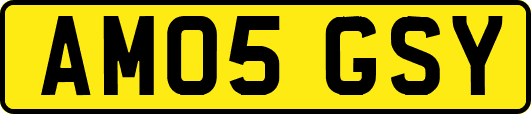 AM05GSY