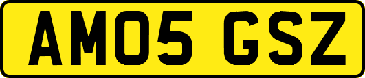 AM05GSZ