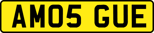 AM05GUE