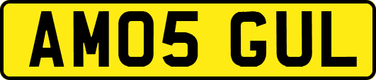 AM05GUL