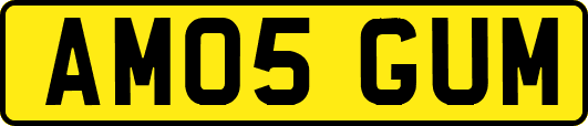 AM05GUM