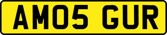 AM05GUR