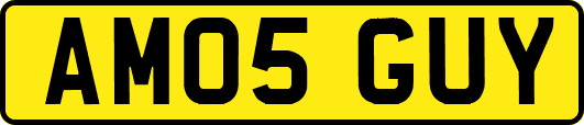 AM05GUY