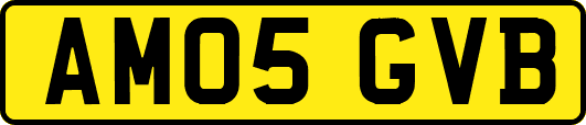 AM05GVB