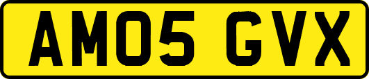 AM05GVX