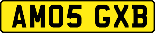 AM05GXB