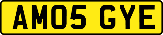 AM05GYE