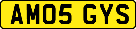 AM05GYS