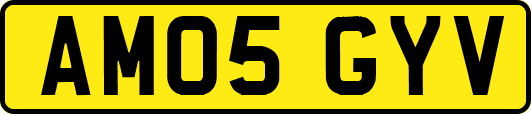 AM05GYV