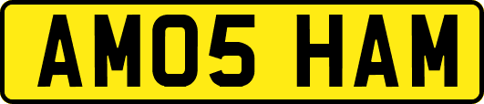 AM05HAM