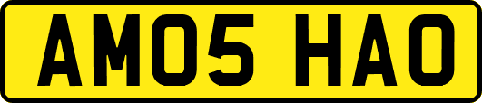 AM05HAO