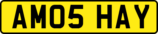 AM05HAY